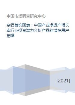 雜石首飾圖表 中國產(chǎn)業(yè)凈資產(chǎn)增長率行業(yè)投資潛力分析產(chǎn)品的潛在用戶挖掘
