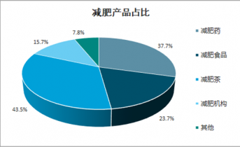 2021-2027年中國減肥市場全景調查與投資策略