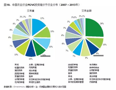 葉偉文:布局中國大農業的投資邏輯