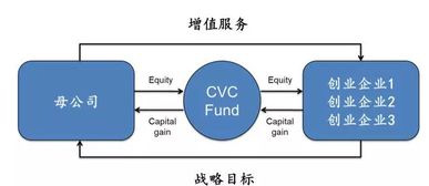 多維資本 產業投資的分類和實踐
