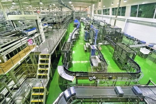 白云區落實 六抓 重點任務 推進新型工業化建設