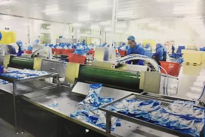 加工日產能超2000噸!強競農業集團產業園有望徹底改變水產養殖業態